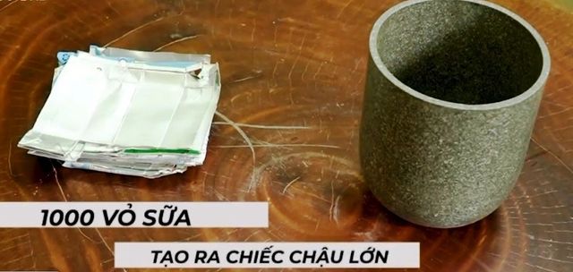 Học cách sống xanh trong mùa dịch - Ảnh 1.