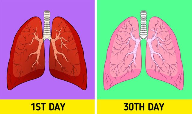 7 phương pháp thải độc phổi ngay tại nhà mà không cần dùng thuốc - Ảnh 1.