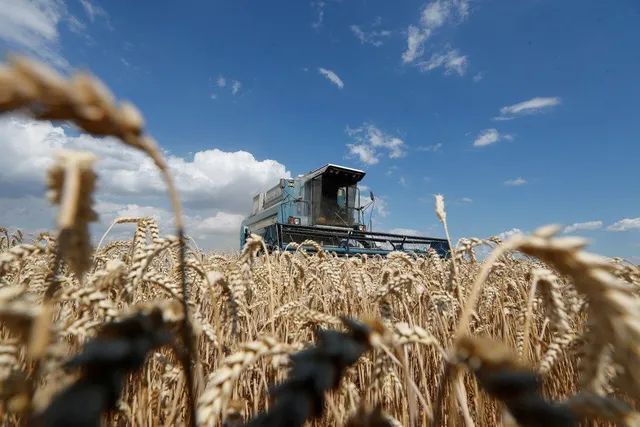 Căng thẳng Nga - Ukraine: Chiếc bánh mỳ tại Ai Cập đến nguy cơ khủng hoảng lương thực  toàn cầu - Ảnh 1.