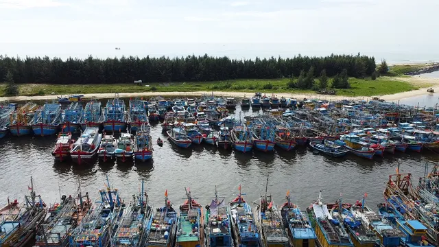 Bà Rịa - Vũng Tàu: Hàng trăm tàu cá nằm bờ do giá dầu tăng cao - Ảnh 1.