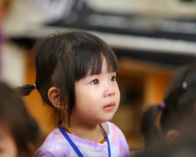 Trẻ mầm non Hà Nội bỡ ngỡ đi học - Ảnh 11. Trẻ mầm non Hà Nội bỡ ngỡ đi học - Ảnh 11.