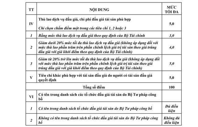 Trung tâm Kỹ thuật truyền dẫn phát sóng - Đài Truyền hình Việt Nam tổ chức đấu giá tài sản - Ảnh 4.