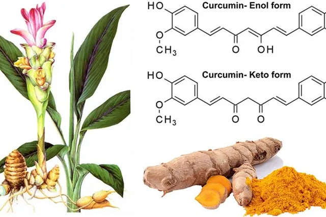 TPBVSK Gumar Plus hỗ trợ cải thiện chỉ số đường huyết cho người bị tiểu đường - Ảnh 4.