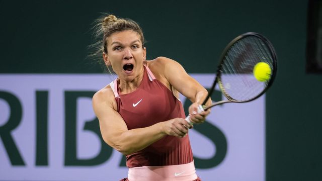 Simona Halep có HLV cá nhân mới - Ảnh 1.