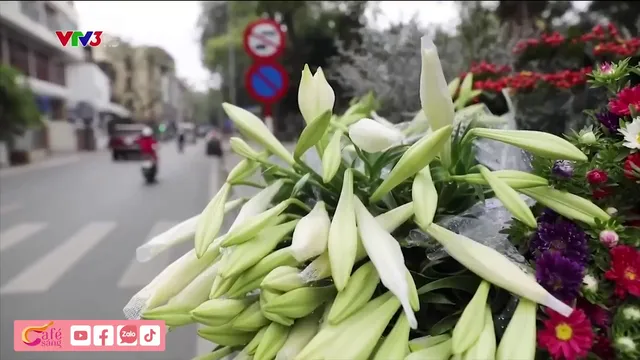 Sắc hoa loa kèn dịu dàng trên phố Hà Nội - Ảnh 2.