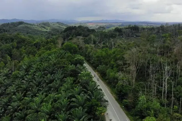 Indonesia đặt mục tiêu di dời thủ đô mới vào năm 2024 - Ảnh 1.