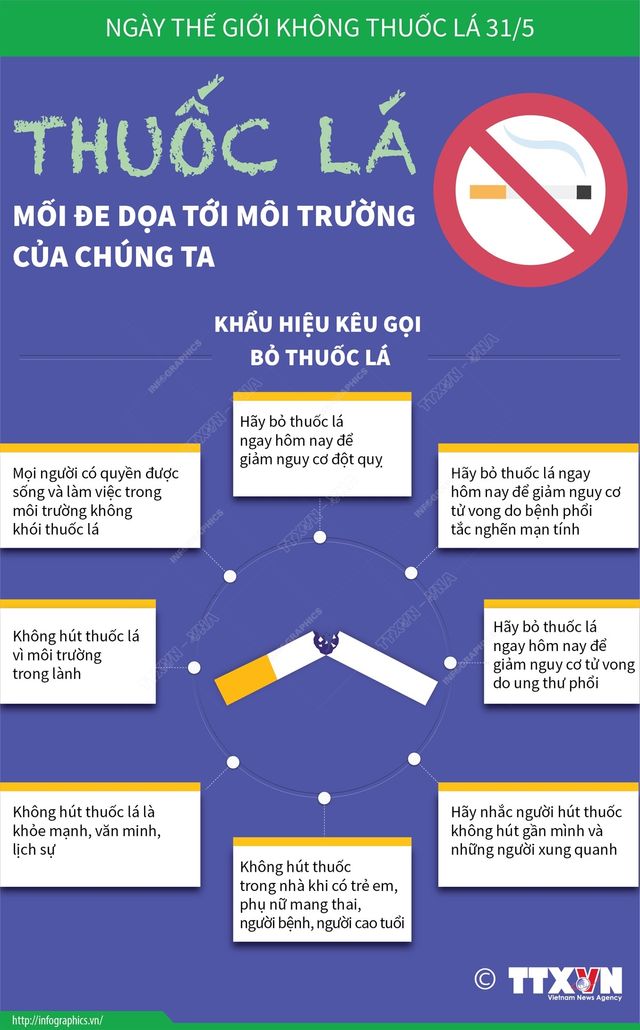 [Infographic] Ngày Thế giới không thuốc lá: Tác hại của thuốc lá đối với môi trường - Ảnh 1.