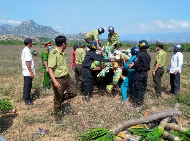 Khởi tố, bắt tạm giam nhóm lâm tặc đánh trọng thương nhân viên bảo vệ rừng ở Ninh Thuận - Ảnh 1. Khởi tố, bắt tạm giam nhóm lâm tặc đánh trọng thương nhân viên bảo vệ rừng ở Ninh Thuận - Ảnh 1.