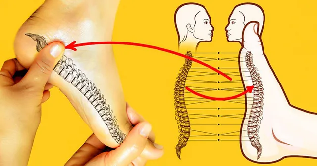 6 cách đánh bay cơn đau lưng ngay lập tức - Ảnh 1. 6 cách đánh bay cơn đau lưng ngay lập tức - Ảnh 1.