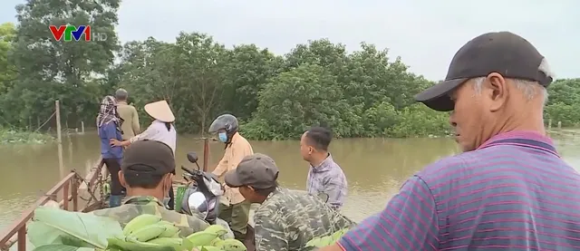 Bãi giữa sông Hồng ngập sâu, người dân phải dùng đò di chuyển - Ảnh 1.