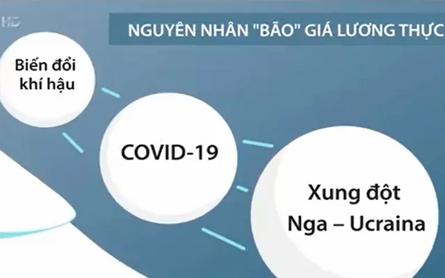 Mất an ninh lương thực đe dọa nhiều quốc gia Đông Nam Á - Ảnh 2.