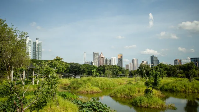 Công viên Benjakitti - ốc đảo xanh giữa lòng Bangkok - Ảnh 8.