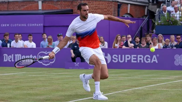 Marin Cilic chia tay Wimbledon 2022 vì Covid-19 - Ảnh 1.