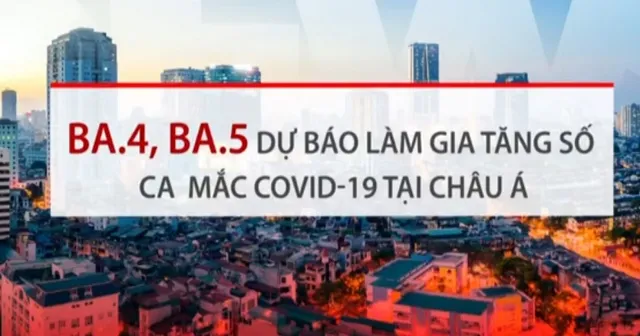 Thế giới lo lắng về cặp đôi biến thể mới BA.4 và BA.5 của Omicron - Ảnh 2.