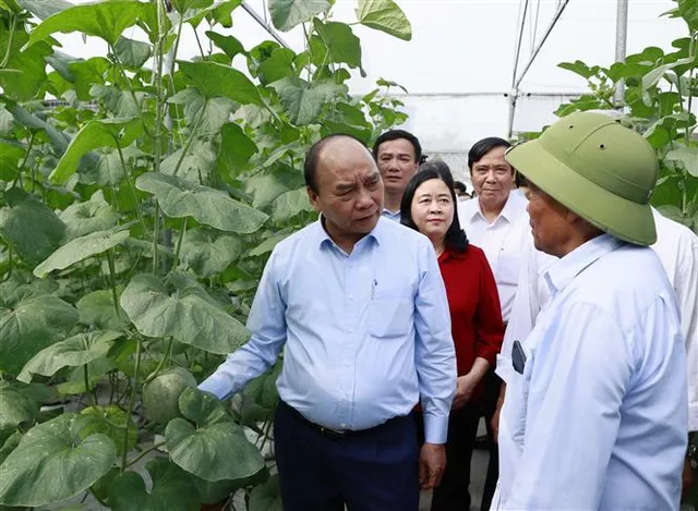 Đảng, Nhà nước luôn dành tình cảm chân thành, sự trân trọng, quan tâm sâu sắc với người cao tuổi - Ảnh 1.