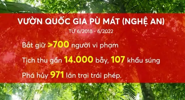 Bảo tồn động vật hoang dã - Những nỗ lực không ngừng nghỉ - Ảnh 1.