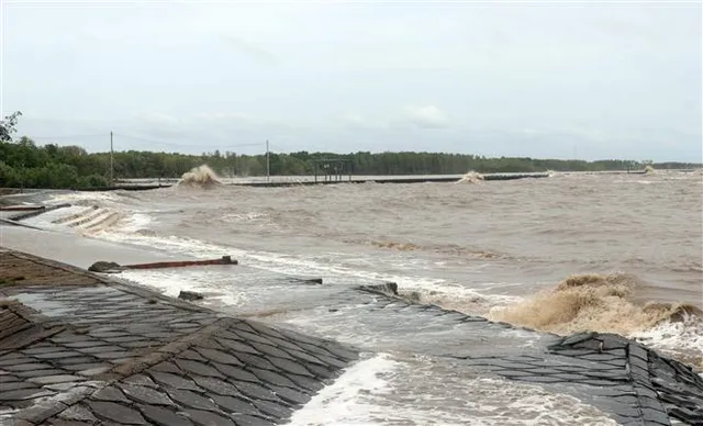 Đê biển Tây sạt lở 110m, Cà Mau công bố tình huống khẩn cấp - Ảnh 3.