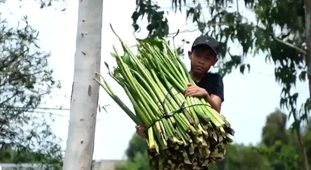 Cặp lá yêu thương: Những bàn tay thương - Ảnh 2.