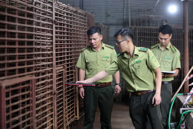 Cứu hộ thành công 7 cá thể gấu ngựa tại một trang trại ở Hà Nội - Ảnh 2.