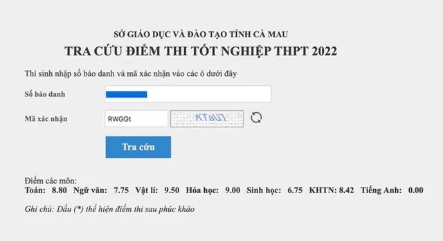 Sở GD&ĐT Cà Mau: Cán bộ coi thi làm đúng nhiệm vụ nhưng thiếu kỹ năng bao quát - Ảnh 2.