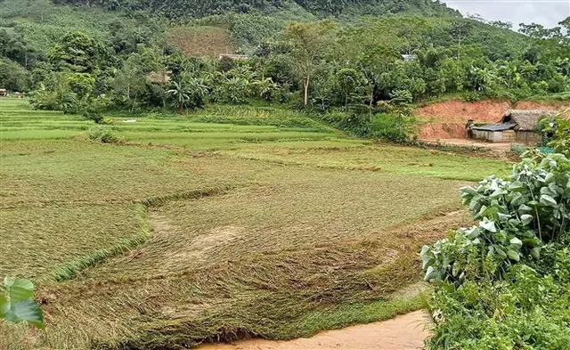 Hà Giang, Lào Cai thiệt hại nặng nề do mưa lớn - Ảnh 11.