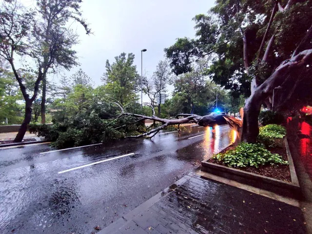 Bão Hermine đổ bộ vào quần đảo Canary của Tây Ban Nha, hàng trăm chuyến bay bị hủy - Ảnh 7.