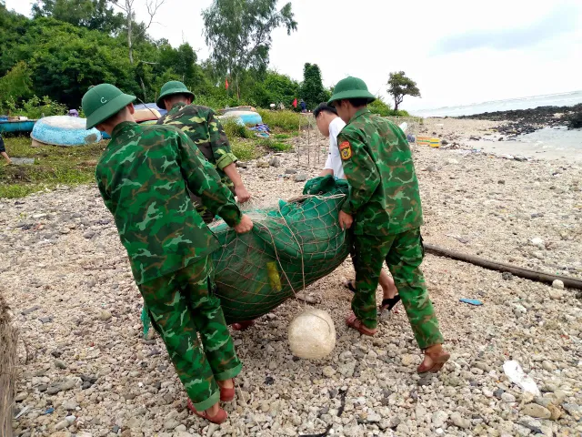 Quân và dân Quảng Ngãi chủ động phòng chống bão số 4 - Ảnh 14. Quân và dân Quảng Ngãi chủ động phòng chống bão số 4 - Ảnh 14.