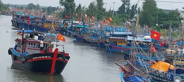 Ảnh: Neo đậu tàu cá gần khu vực cảng Sa Kỳ, Quảng Ngãi - Ảnh 1. Ảnh: Neo đậu tàu cá gần khu vực cảng Sa Kỳ, Quảng Ngãi - Ảnh 1.