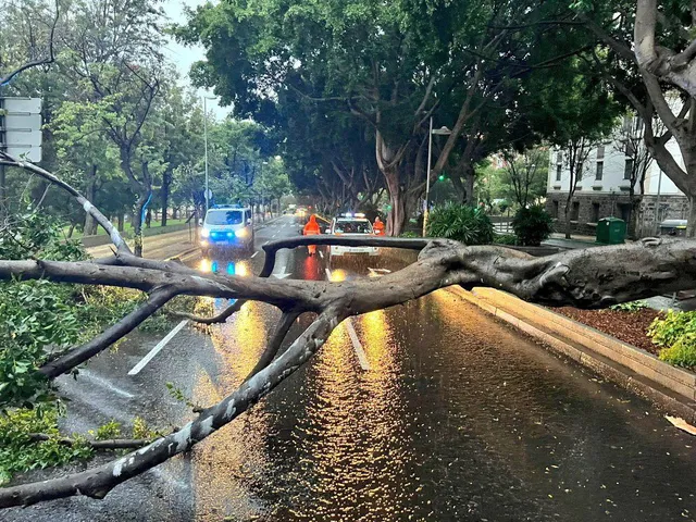 Bão Hermine đổ bộ vào quần đảo Canary của Tây Ban Nha, hàng trăm chuyến bay bị hủy - Ảnh 5.