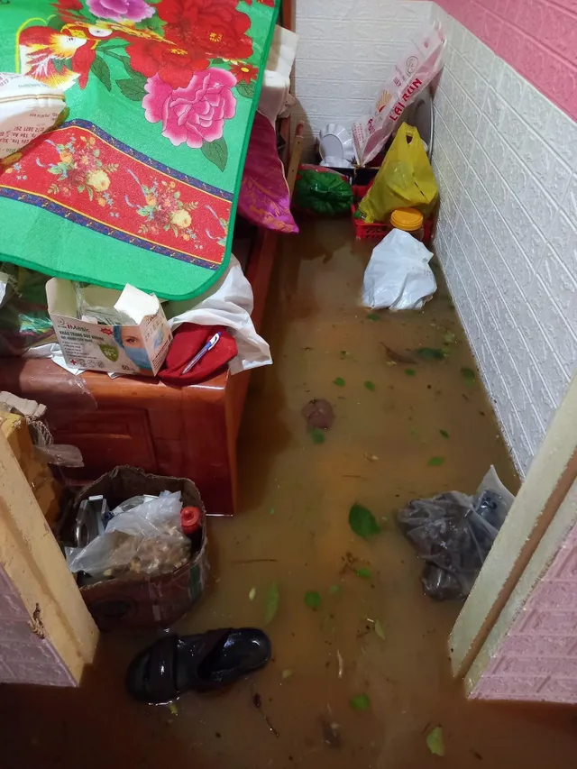 Không có thiệt hại về người, Lý Sơn tan hoang sau bão số 4 - Ảnh 7. Không có thiệt hại về người, Lý Sơn tan hoang sau bão số 4 - Ảnh 7.
