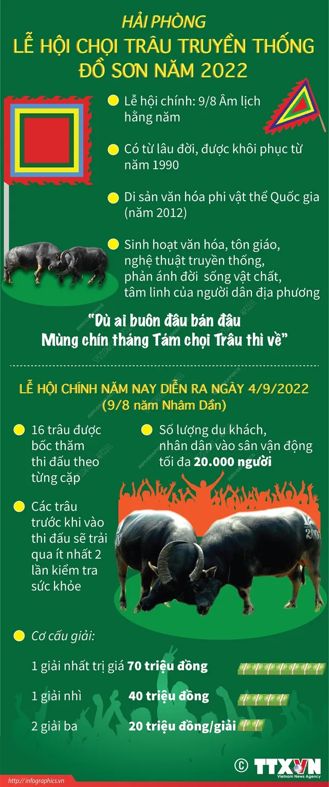 Hôm nay (4/9), khai hội Lễ hội chọi trâu truyền thống Đồ Sơn (Hải Phòng) năm 2022 - Ảnh 1.