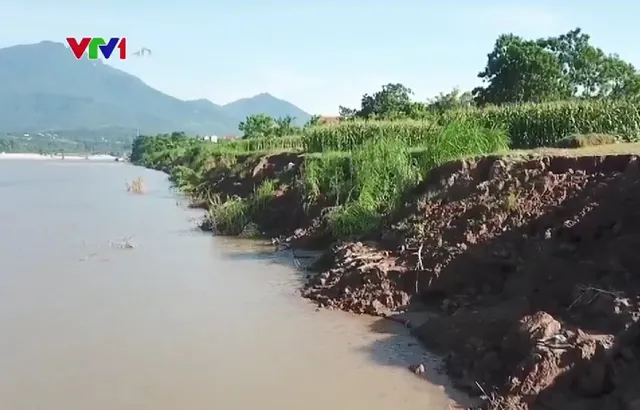 Khai thác cát gây sạt lở đất nông nghiệp - Ảnh 1. Khai thác cát gây sạt lở đất nông nghiệp - Ảnh 1.