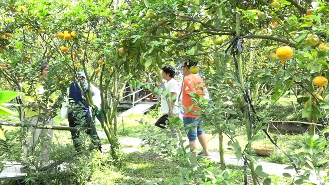 Làng hoa Sa Đéc nườm nượp đón khách ngày đầu năm mới - Ảnh 3.