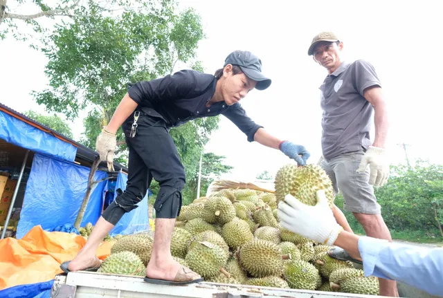 Trung Quốc hút hàng, doanh nghiệp nông sản ăn Tết lớn - Ảnh 1.