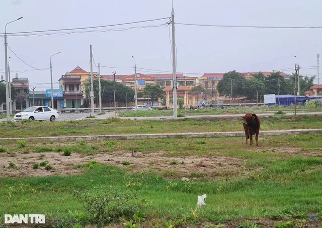 Thị trường bất động sản: Không ai biết chắc đâu là đỉnh, đâu là đáy - Ảnh 2.