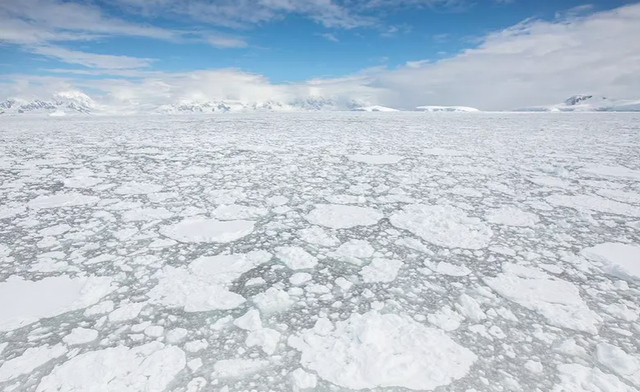 Băng biển ở Nam Cực thấp nhất trong gần 45 năm - Ảnh 1.