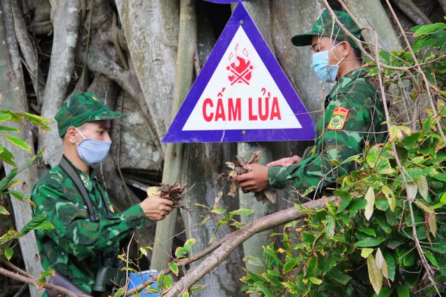 Cà Mau: Tết trồng cây, làm cho đất nước càng ngày thêm Xuân - Ảnh 1. Cà Mau: Tết trồng cây, làm cho đất nước càng ngày thêm Xuân - Ảnh 1.
