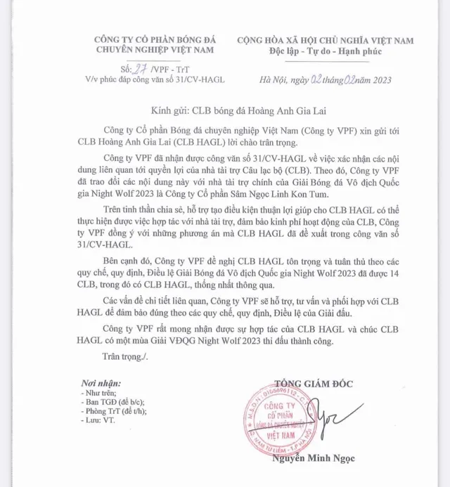 VPF chấp nhận đề xuất, Hoàng Anh Gia Lai vẫn dự V.League 2023 - Ảnh 1.