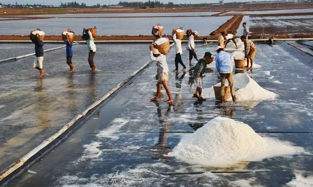 Giá muối cao, diêm dân không có muối để bán - Ảnh 1.