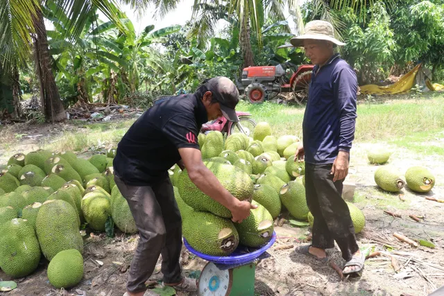 Trung Quốc tăng cường nhập khẩu trái cây chính ngạch - Ảnh 1.