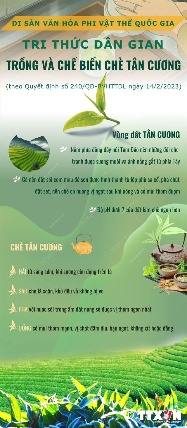 Tri thức dân gian trồng và chế biến chè Tân Cương - Di sản văn hóa phi vật thể quốc gia - Ảnh 1.