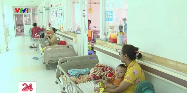 Mối lo sốt xuất huyết tại Đồng bằng sông Cửu Long - Ảnh 1. Mối lo sốt xuất huyết tại Đồng bằng sông Cửu Long - Ảnh 1.