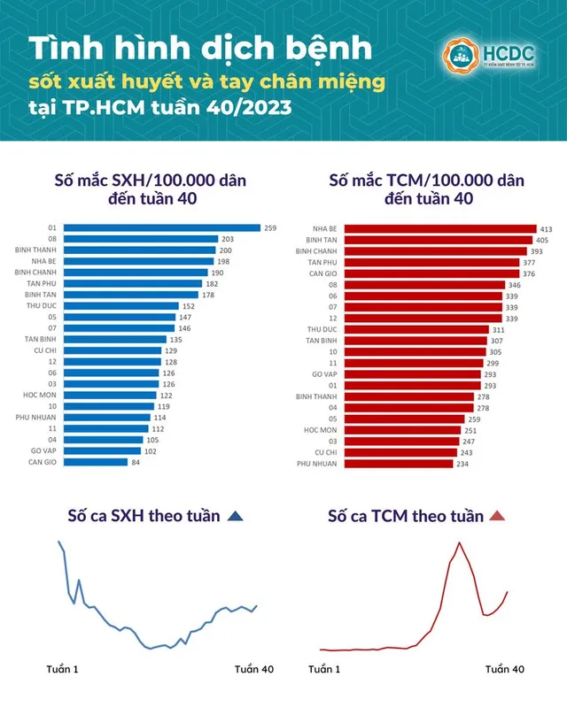 TP. Hồ Chí Minh: Số ca mắc tay chân miệng, sốt xuất huyết tăng trở lại - Ảnh 1.