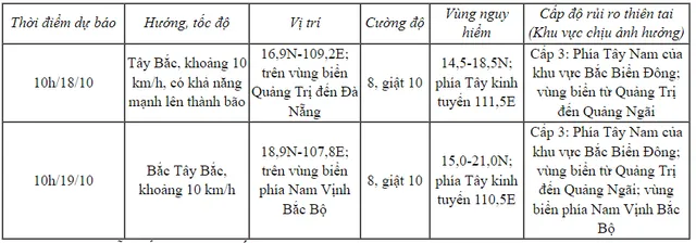 Tin áp thấp nhiệt đới trên Biển Đông - Ảnh 2.