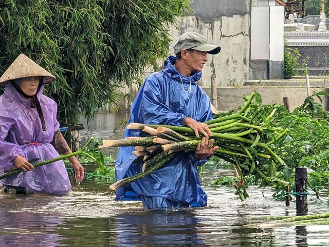 Thừa Thiên Huế cảnh báo lũ lớn trên các sông - Ảnh 2.