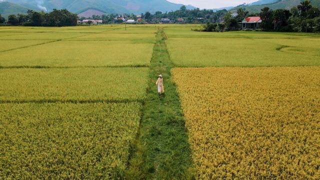 Ca sĩ Thi Phượng phát hành MV Tha thiết tình quê, giới thiệu nhiều cảnh đẹp của Tân Kỳ, Nghệ An - Ảnh 2.