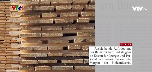 Thị trường châu Âu giảm nhu cầu gỗ xây dựng và nội thất - Ảnh 1.