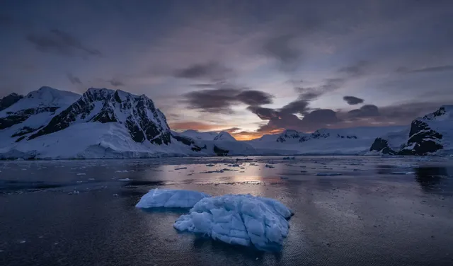 Băng tan chảy nhanh chóng ở Tây Nam Cực là “không thể tránh khỏi”, khiến mực nước biển dâng cao - Ảnh 1.