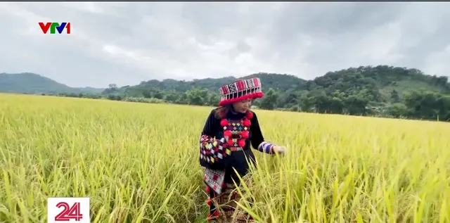 Làm giàu từ tài nguyên văn hóa - Ảnh 1.