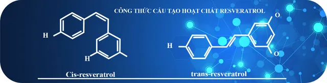 Golden Lypres® - sản phẩm vì sức khỏe cộng đồng - Ảnh 6.